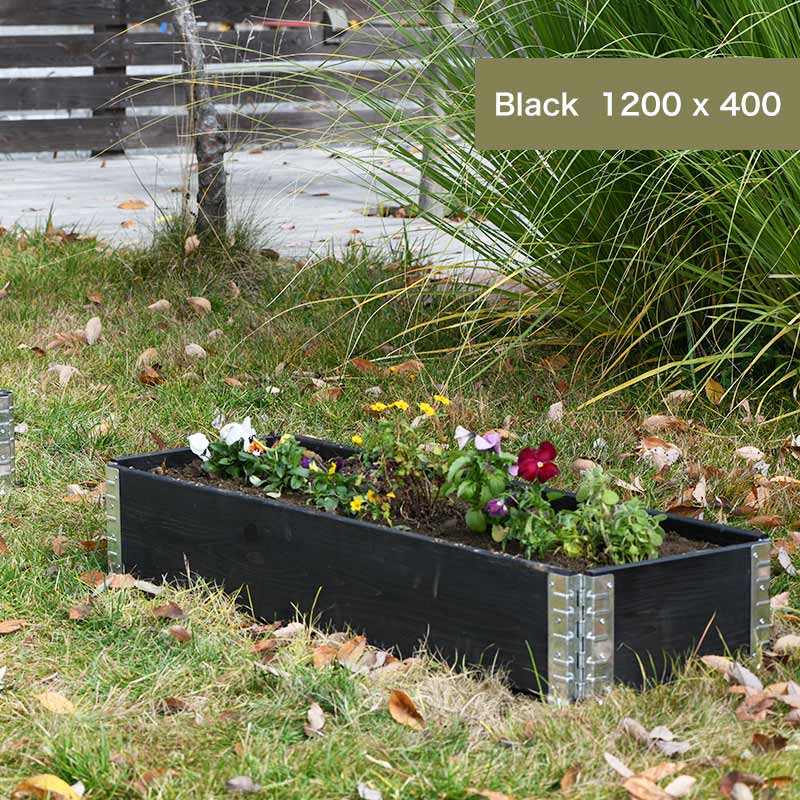 ǥܥåॿ å쥤ɥ٥å/ץ󥿡 a+ǥ