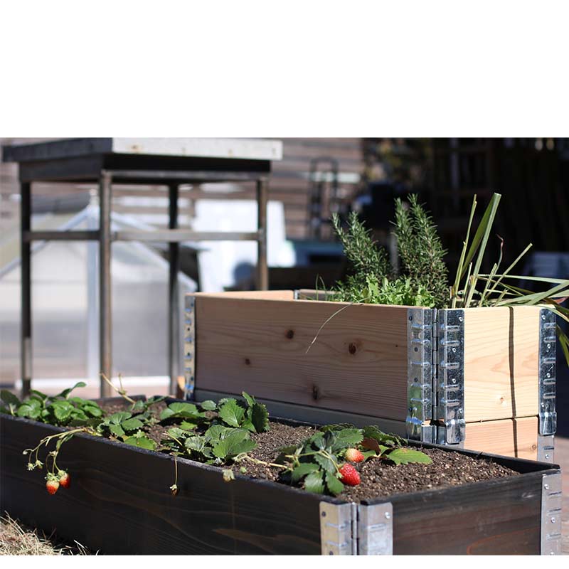 ǥܥåॿ å쥤ɥ٥å/ץ󥿡 a+ǥ