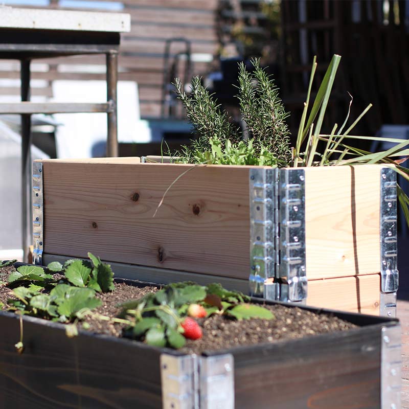 ǥܥåॿ å쥤ɥ٥å/ץ󥿡 a+ǥ