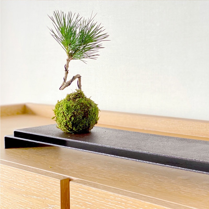 ��Ŵ��� Ĺ�� 6������ ��WELLBEING TOKYO�ۡ������桡���ݥ����3�ܡ�