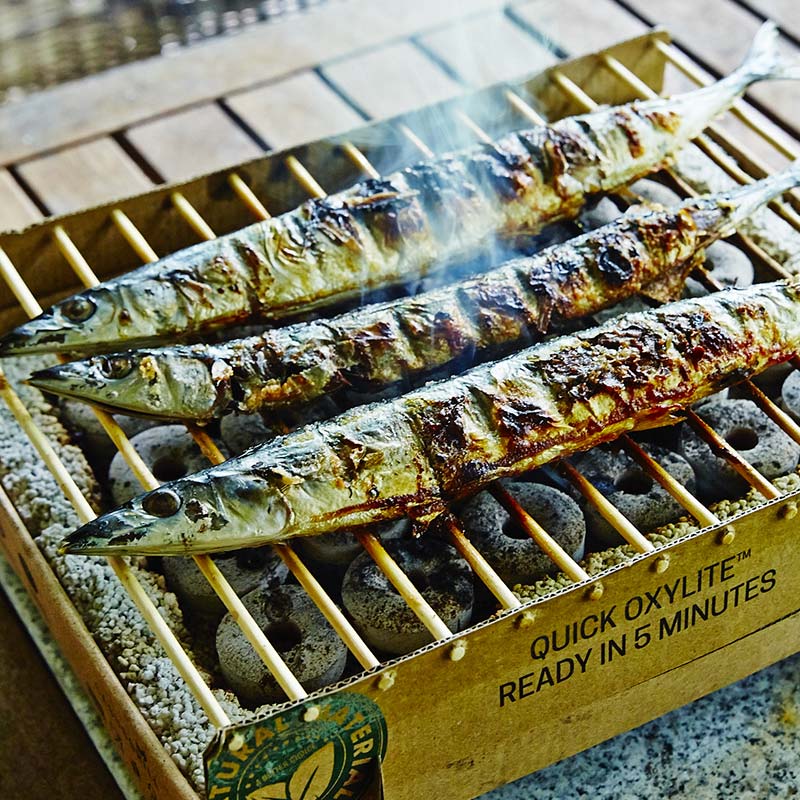 �������ᡪ����եȥ���� 3�ĥ��å� ��CASUSGRILL��