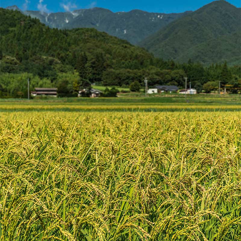 Ҥ䤪ĶҤ䤪2ܥåȡ׿ǻӡ720ml / ڵŹۡå