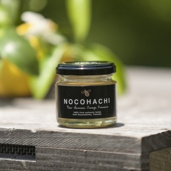 �Τ��Ϥ� �˥塼���ޡ�����󥸥ץ�ߥ��� NOCOHACHI