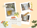 ��˥塼���롪��4�����ۥե�å��奷�ȥ饹�֥���