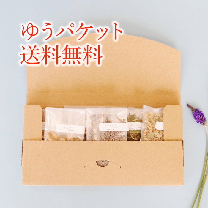 限定1セット】繰り返し使える 次世代ハーブボール スタートセット 眩しい