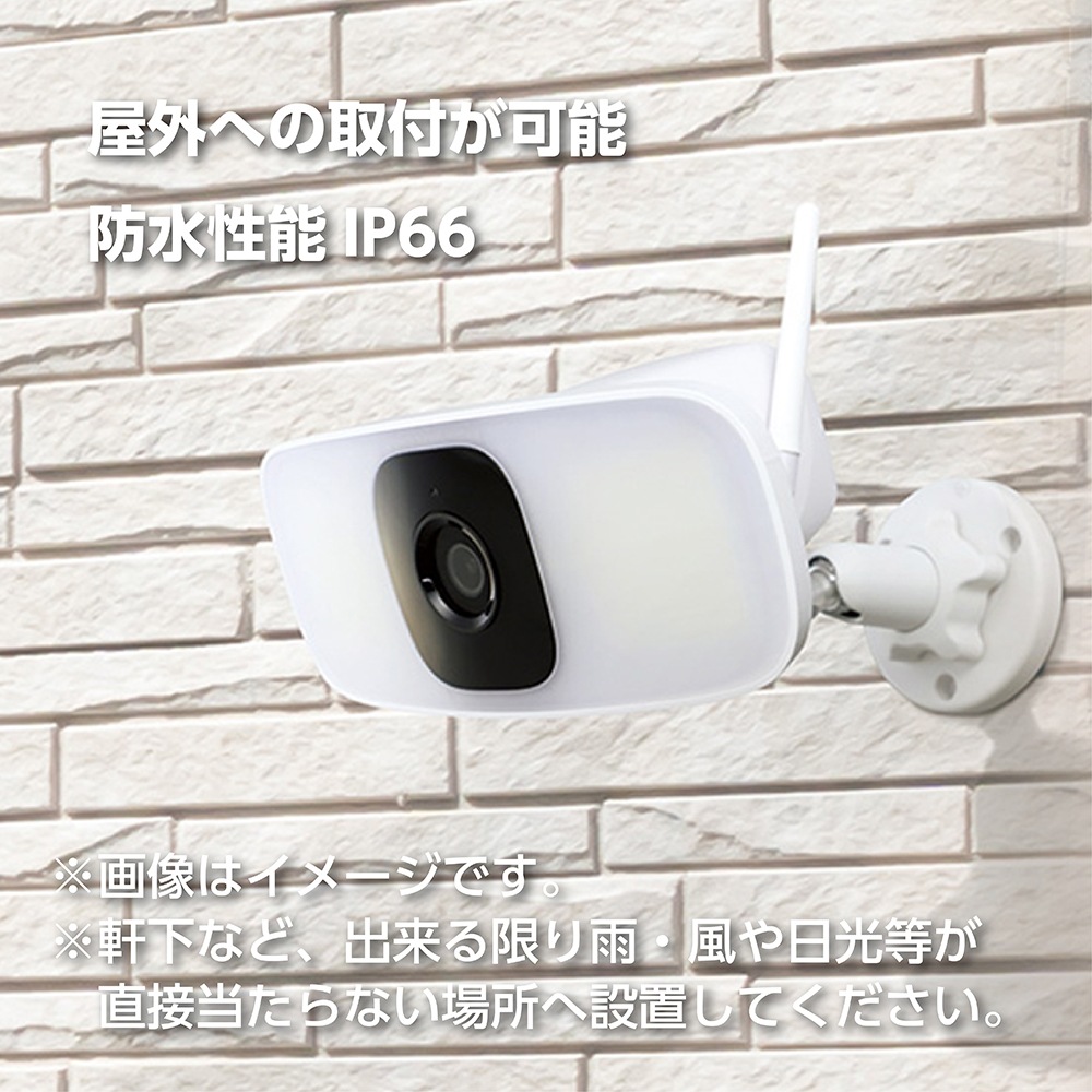 �ڸ�ĥ���֥��꡼�����ɤä����磻��쥹�����