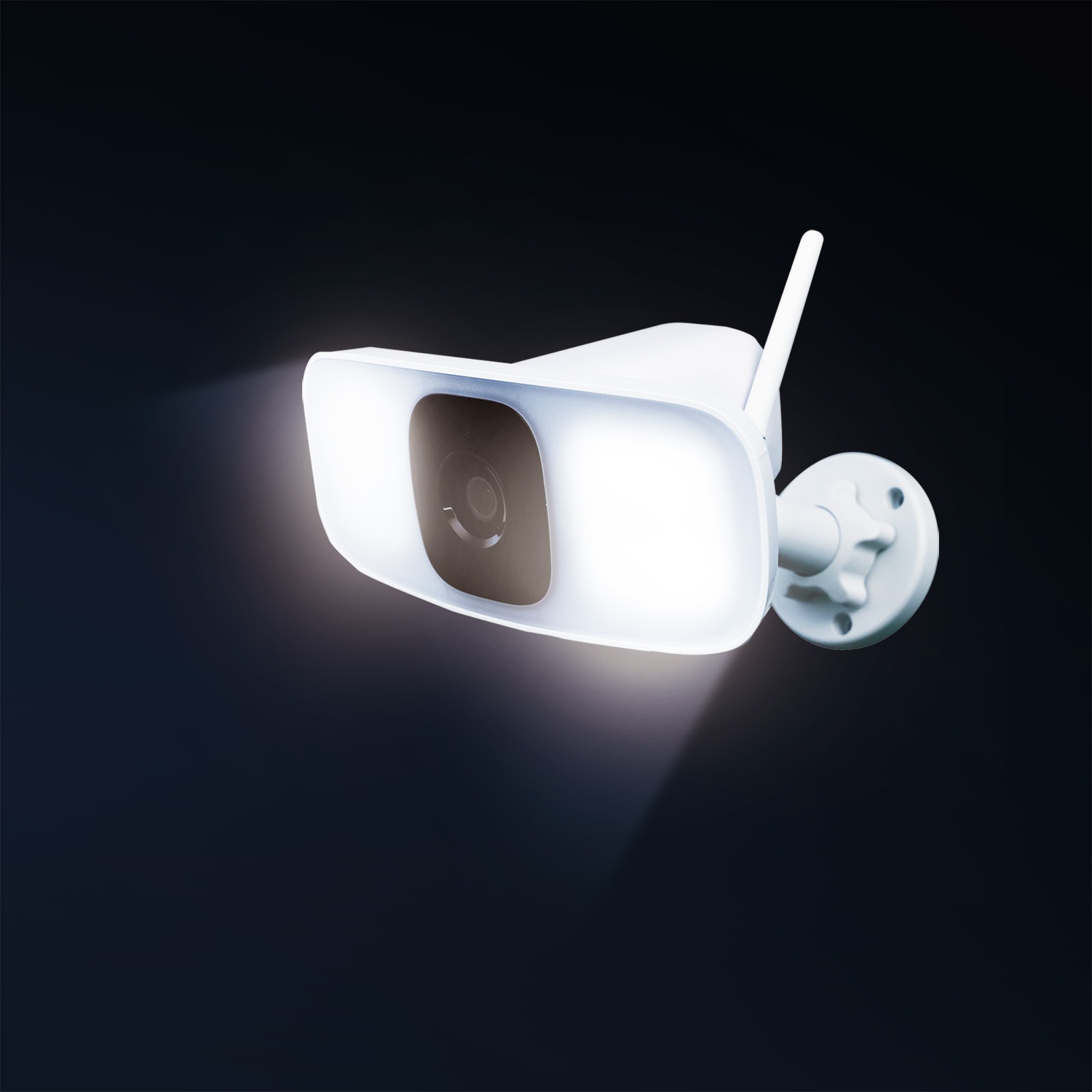 �ڸ�ĥ���֥��꡼�����ɤä����磻��쥹�����