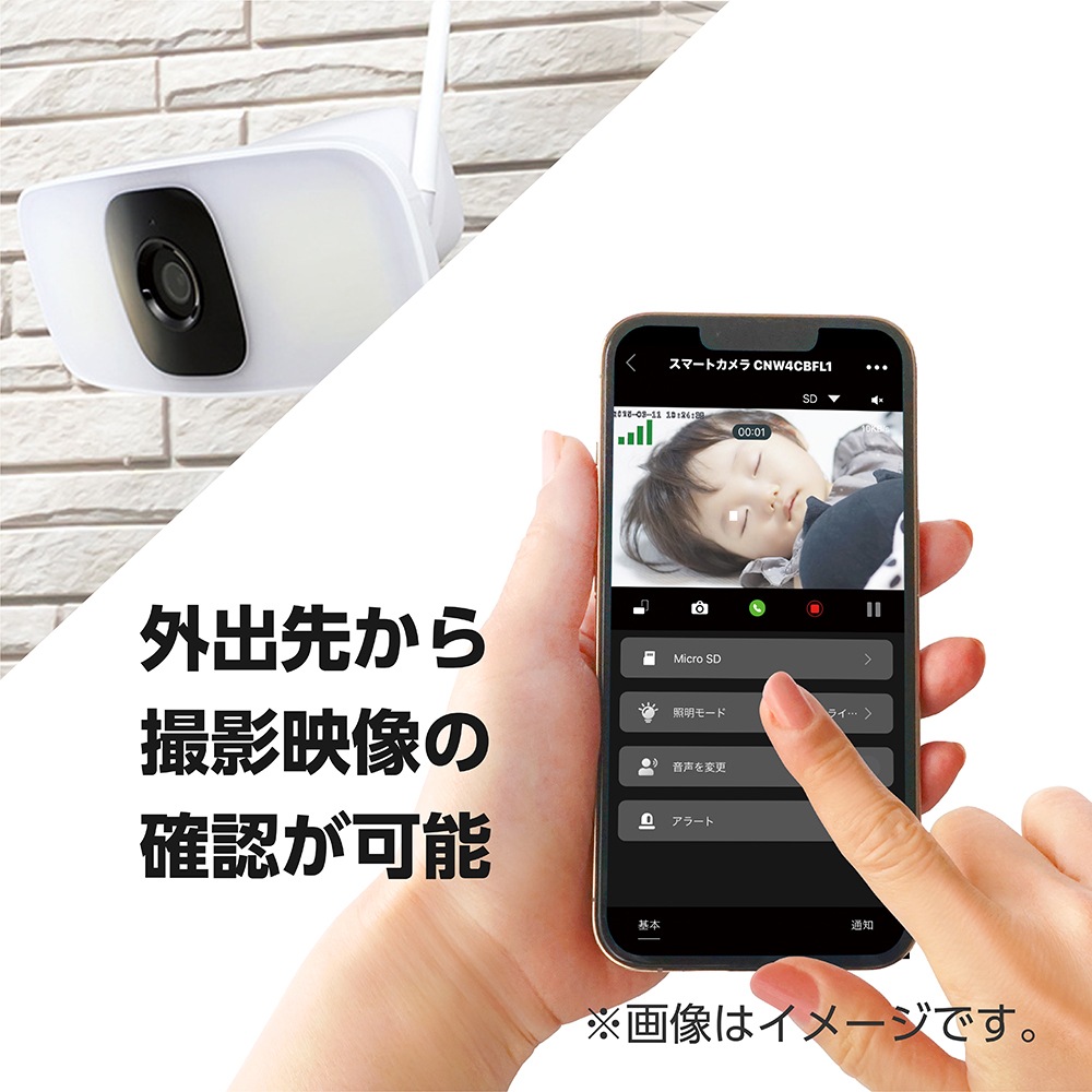 �ڸ�ĥ���֥��꡼�����ɤä����磻��쥹�����