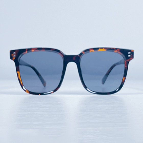 SPTR2145 HVN-Leopard