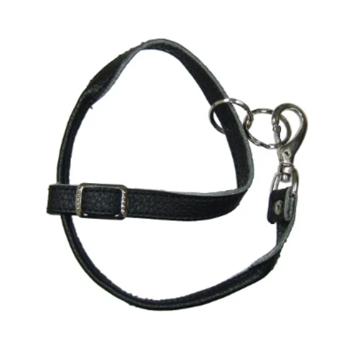 ��ͽ���ʡ�ANGEL �쥶���ܥ������