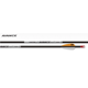 EASTON AVANCE SPORT