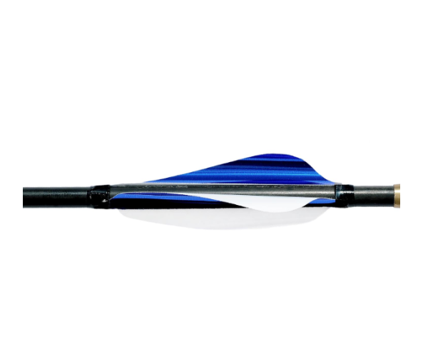 SPIDER VANES Invictus �٥���