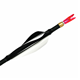 SPIDER VANES Invictus �٥���