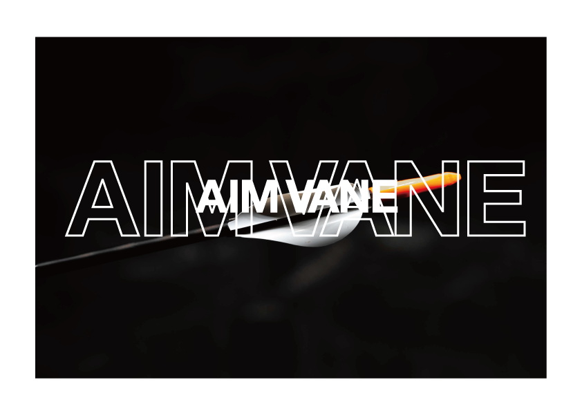 AIM VANE