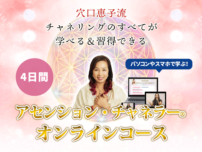 �ڷ���û�2023�ۥ����󥷥�󡦥���ͥ顼 ����饤�󥳡���