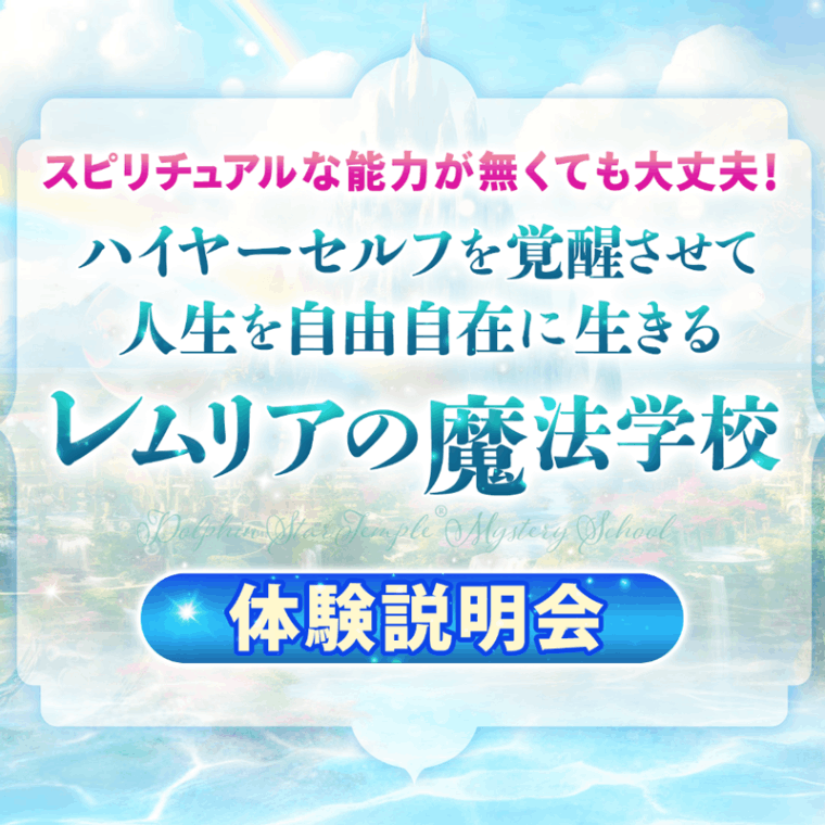 ��LMS��2024 10��� �ϥ��䡼����ճ��å����� �θ�������