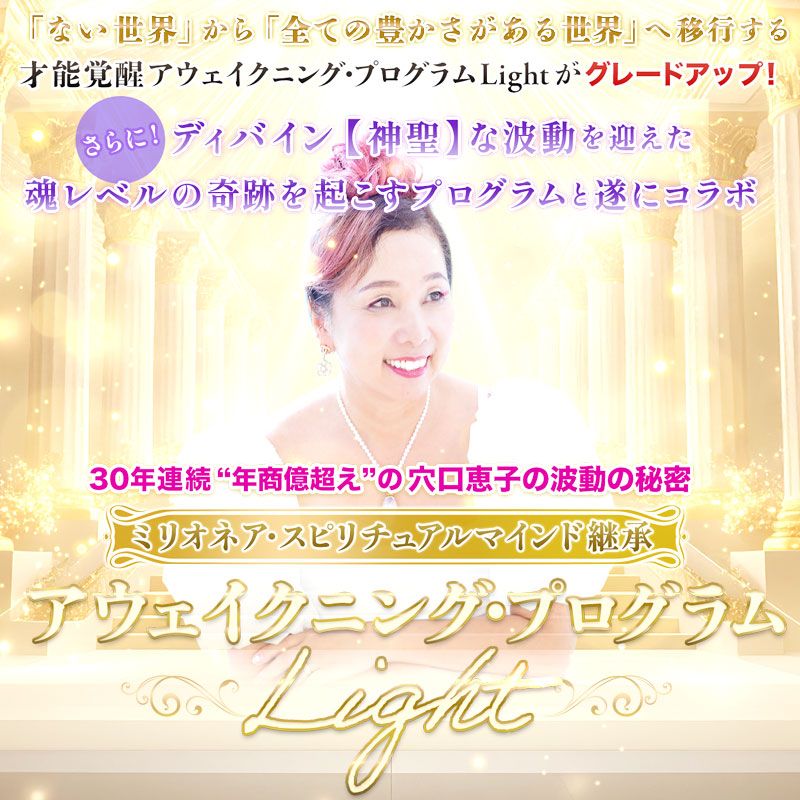 �ڷ���ûҡ�2025 �����������˥󥰥ץ������Light