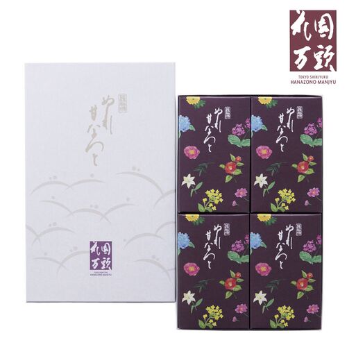(期間限定!通常配送料無料)★東京・新宿「花園万頭」ぬれ甘なつと小箱(4個入) 菓子・パン類