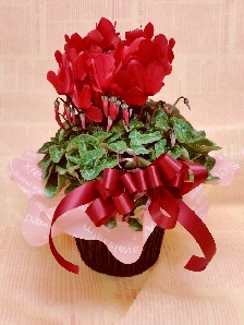 ڥեȡۡڤա̵ۡ