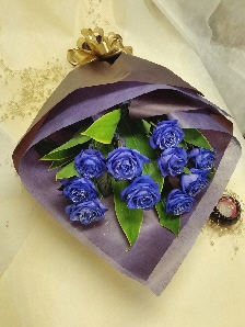 ֥롼ڲ«ۡڥեȡۡڥ˥С꡼