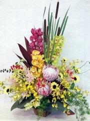 ŹΥץ󡢥˥塼! Birthdayˤ