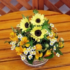 ҤޤΤ襤󥸥ȡڤޤա