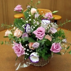 �ʥ�����&���ʤʿ��礤����Ũ�Ǥ�