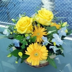 ��������館���