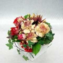 ����Ū�ʿ��ܤ⿷�����ɤ��Ǥ���