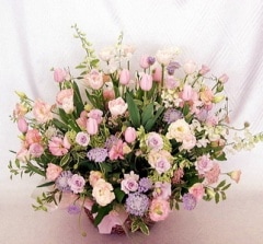 ���������򡢻פ��ä�����ʤˡ��ڤ䤫��!!