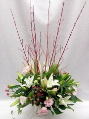 ���̤��������ڤʻ���!!