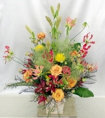 �ű�ʲڤ䤫���򤫤⤷������β�