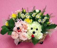 襤ͤä!ä! 露ʤסɥ