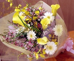 Υ顼򾮲֤ǥɥ쥹å