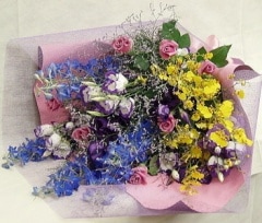 �֡����Ȥ�ɤ�Υߥå����֡��������������