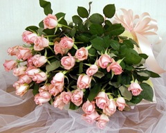 �ä��ȴ�Ӥ���������ޤ���