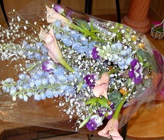 ��Ĺ����ڤʲ�«