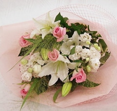 ������Υ�ꡦ�ԥ󥯥Х顦�ȥ륳�����祦��ø���ȡ���β�«