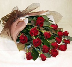 �֥Х��ԥ󤫤饭��ޤǡ���������ʪ�Ǥ��ޤ���?