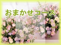 ���ޤ���12,000�ߥ�����