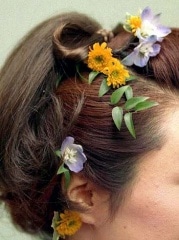 �إ�����[6]