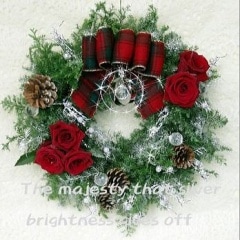 Shining  Wreath������̵���ۡڥ��ꥹ�ޥ��ý���