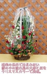 Shooting Star������̵���ۡڥ��ꥹ�ޥ��ý���