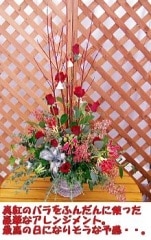 Roseate  Frams������̵���ۡڥ��ꥹ�ޥ��ý���