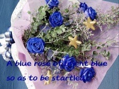 Xmas  Buquet -Pure  Blue-������̵���ۡڥ��ꥹ�ޥ��ý���