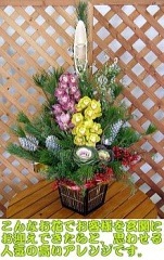 ������ۤ��������ǯ�ۤ��ý�������̵����