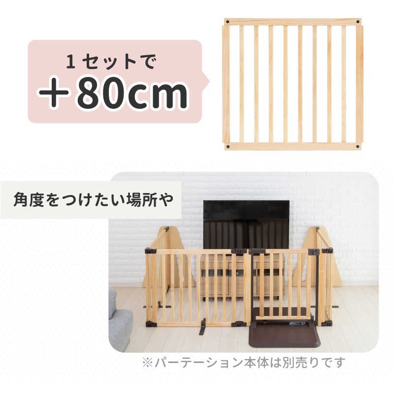 ���ܰ�� �����ѡ��ơ������FLEX���� �ɲåѥͥ� 1������