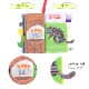 EricCarle(����å�������) �Ϥ�ڤ������ष ���ǥ�å������եȥ֥å� ������� ���å� nihonikuji