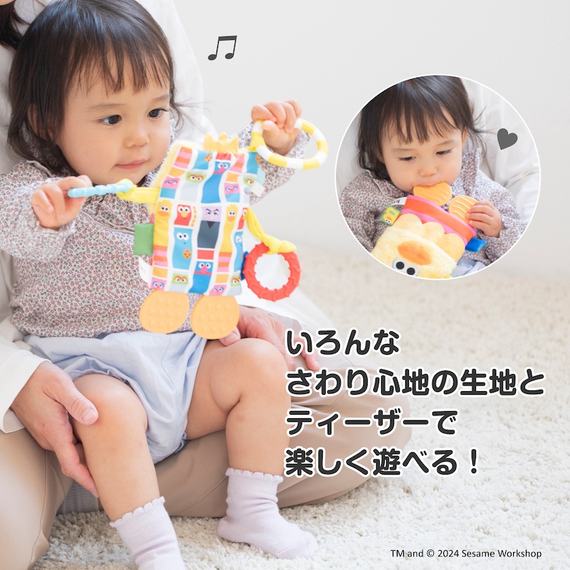 ߥȥ꡼ ƥ/å󥹥/ӥåС nihonikuji