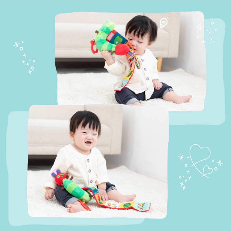 EricCarle(å) Ϥڤष  륢ȥƥӥƥȥ ܰ  å